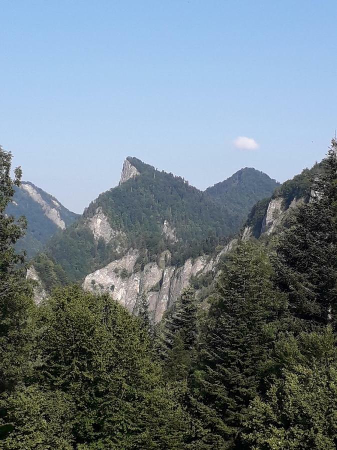 Chata Holica Pieniny Lesnica Exterior foto