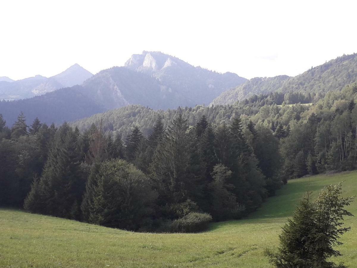 Chata Holica Pieniny Lesnica Exterior foto